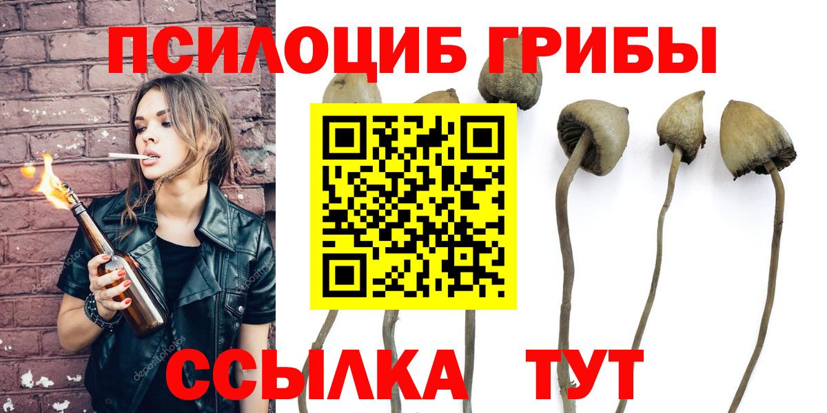 Псилоцибиновые грибы GOLDEN TEACHER  Вход с VPN  Зеленодольск  дарнет шоп  Псилоцибиновые грибы ЛСД 
