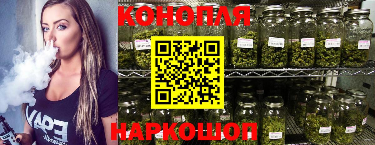 Бошки Шишки семена  Конопля семена  Зеленодольск  Конопля OG Kush  Каннабис Amnesia  Вход с VPN 